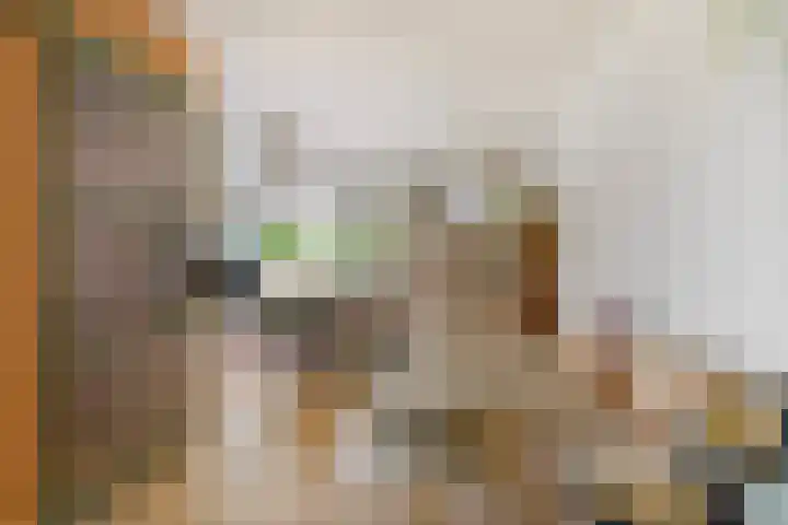 Johannastraat 37 Arnhem thumbnail 11