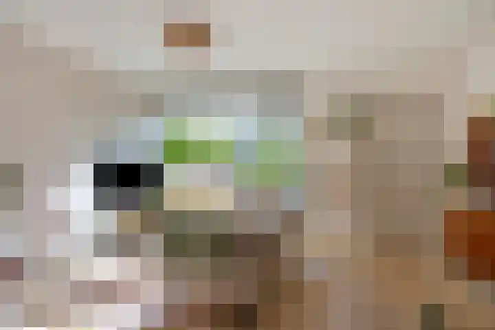 Johannastraat 37 Arnhem thumbnail 16
