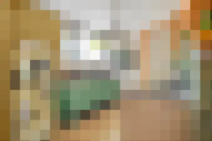 Johannastraat 37 Arnhem thumbnail 19