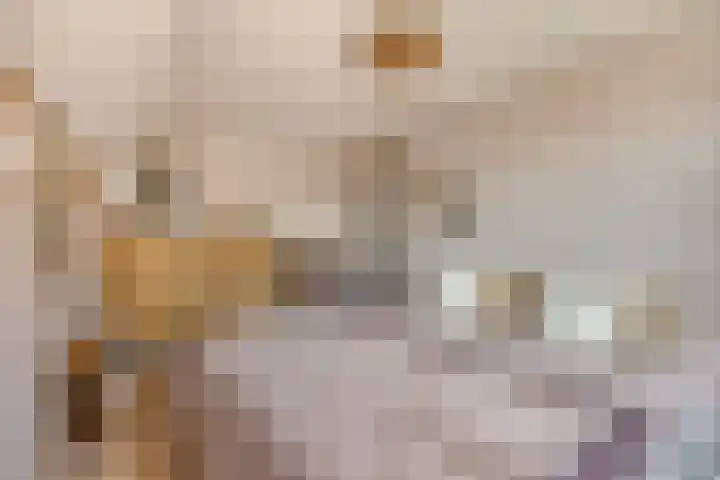 Johannastraat 37 Arnhem thumbnail 27