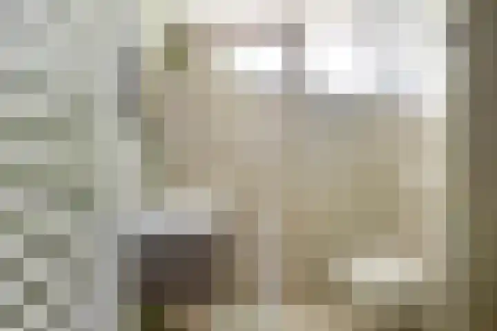 Johannastraat 37 Arnhem thumbnail 29