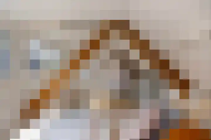 Johannastraat 37 Arnhem thumbnail 37