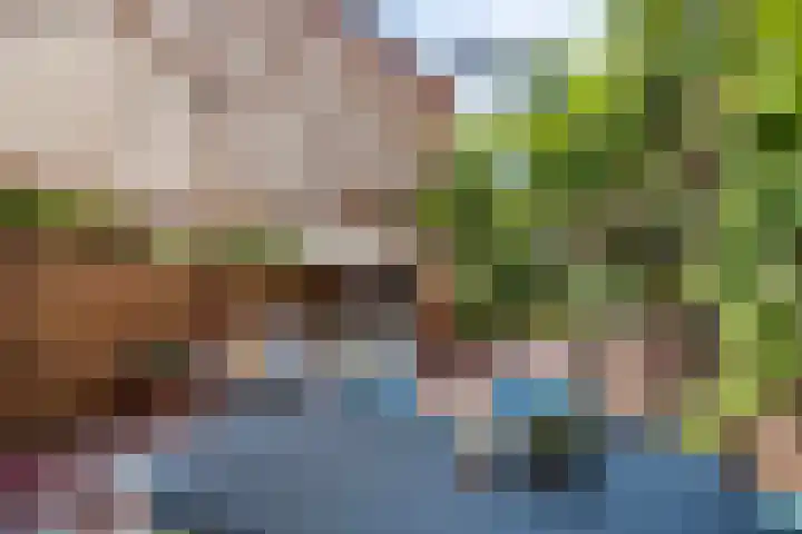 Johannastraat 37 Arnhem thumbnail 40