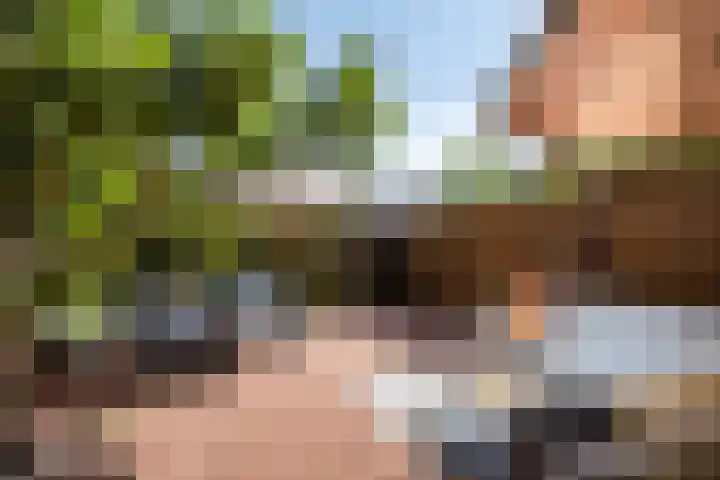 Johannastraat 37 Arnhem thumbnail 43