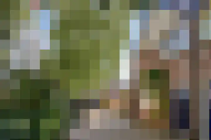 Johannastraat 37 Arnhem thumbnail 50