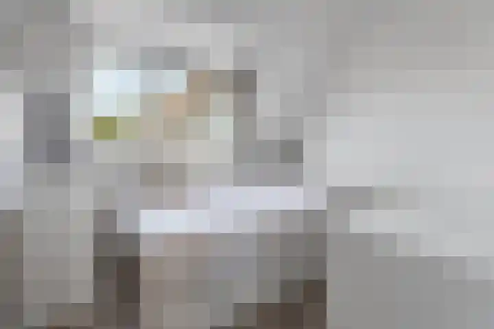 Johannaweg 1 Oosterbeek thumbnail 23