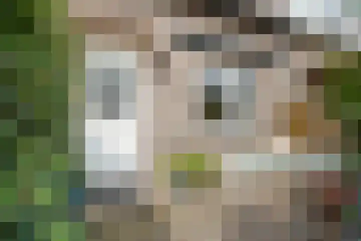 Johannaweg 1 Oosterbeek thumbnail 34