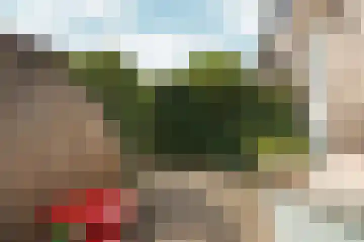 Johannaweg 1 Oosterbeek thumbnail 36