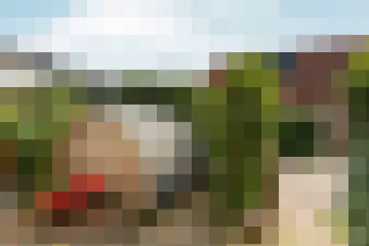 Johannaweg 1 Oosterbeek thumbnail 37