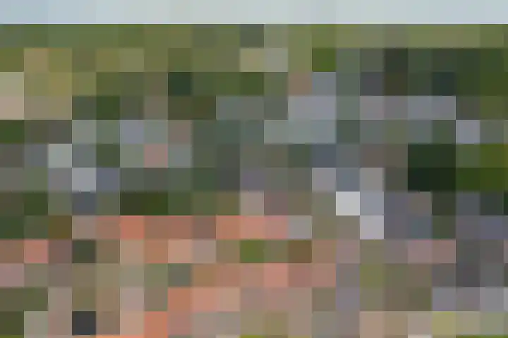 Johannaweg 1 Oosterbeek thumbnail 44
