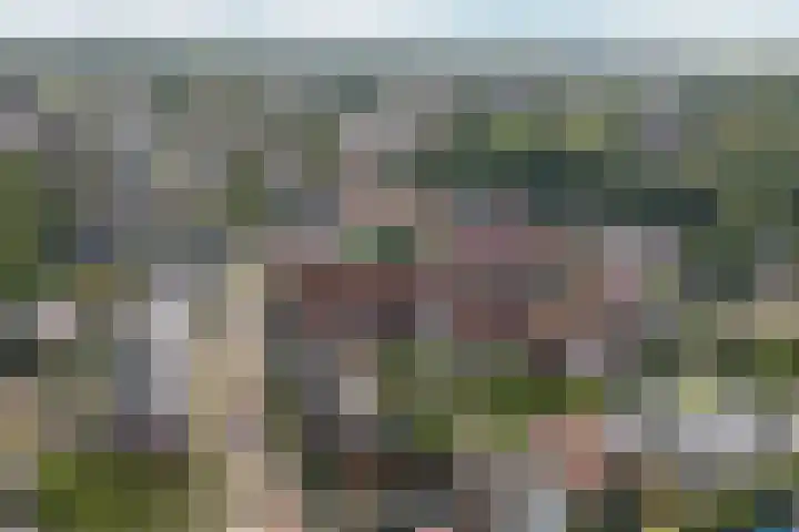 Johannaweg 1 Oosterbeek thumbnail 45