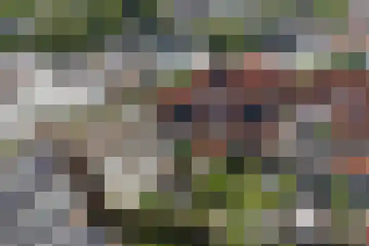 Johannaweg 1 Oosterbeek thumbnail 47