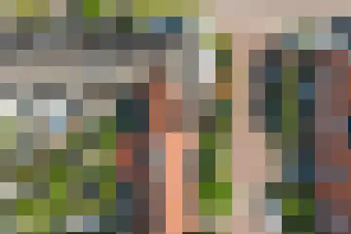 Johannaweg 1 Oosterbeek thumbnail 48