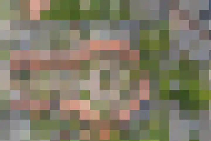 Johannaweg 1 Oosterbeek thumbnail 49