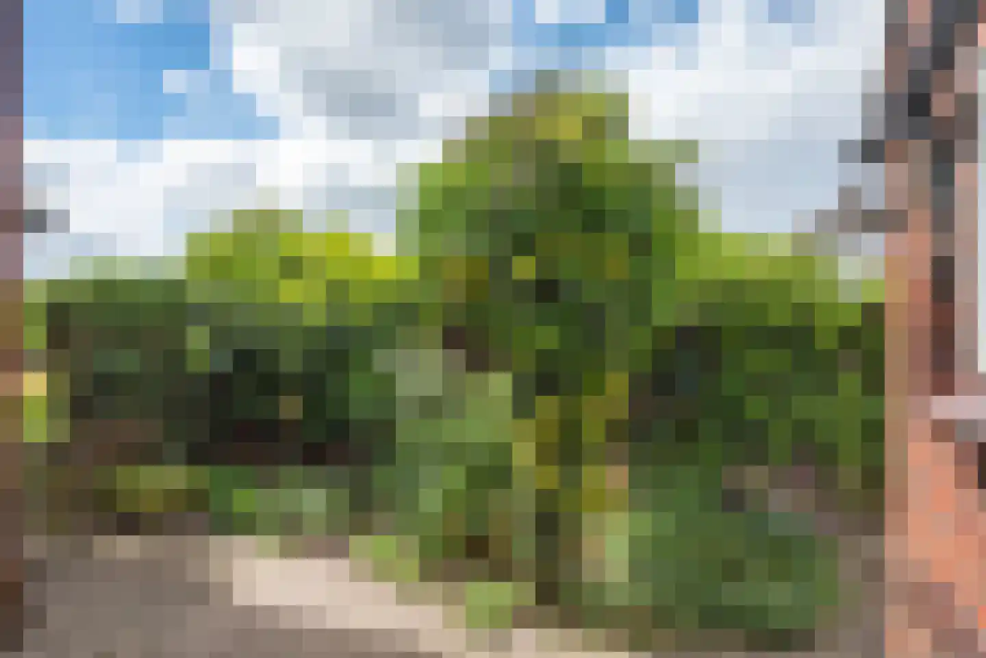 Johannaweg 12 Hengelo thumbnail 27