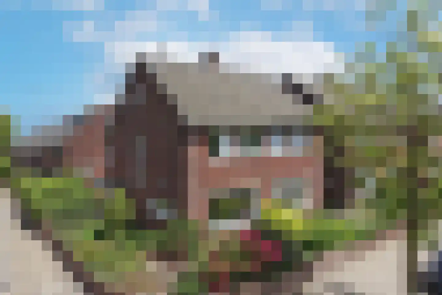 Johannaweg 12 Hengelo thumbnail 35