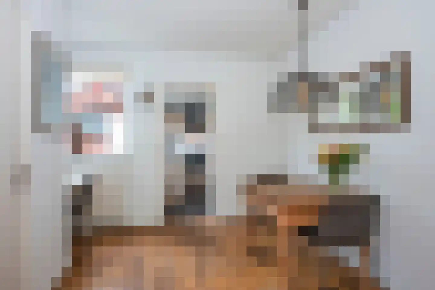 Johannaweg 12 Hengelo thumbnail 9