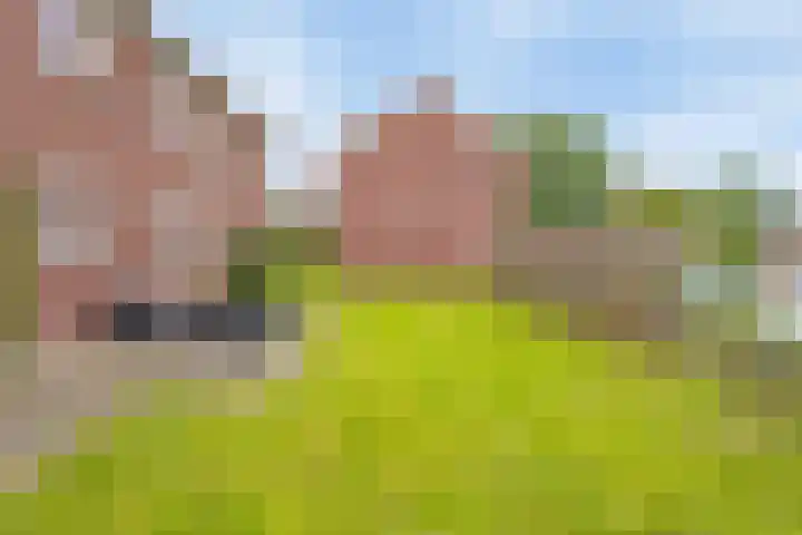 Johannaweg 16 Hengelo thumbnail 18