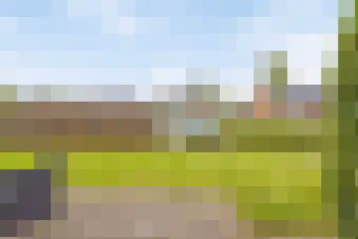 Johannaweg 16 Hengelo thumbnail 19