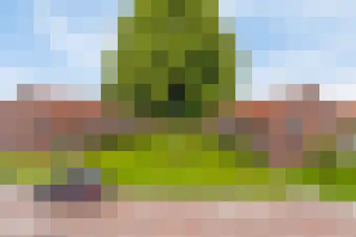 Johannaweg 16 Hengelo thumbnail 21