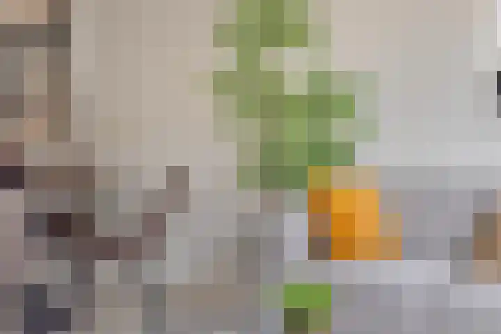 Johannaweg 16 Hengelo thumbnail 6