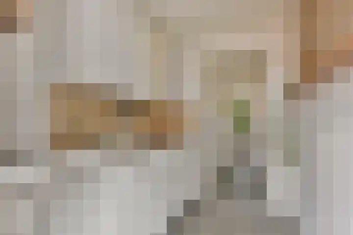 Johannaweg 21 I Hengelo thumbnail 11