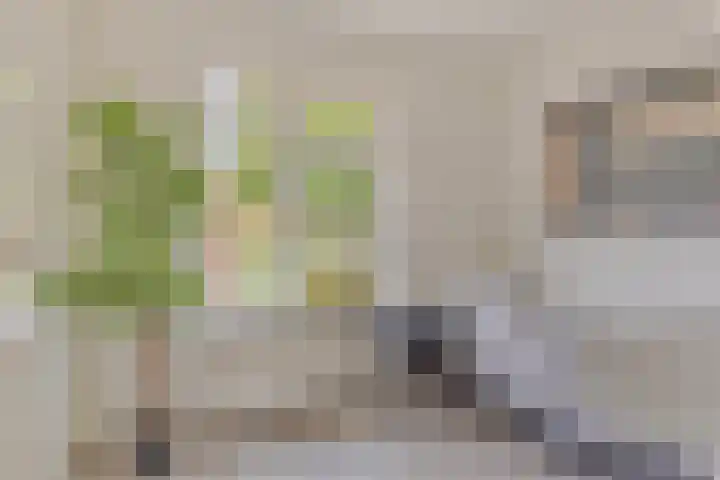 Johannaweg 21 I Hengelo thumbnail 15