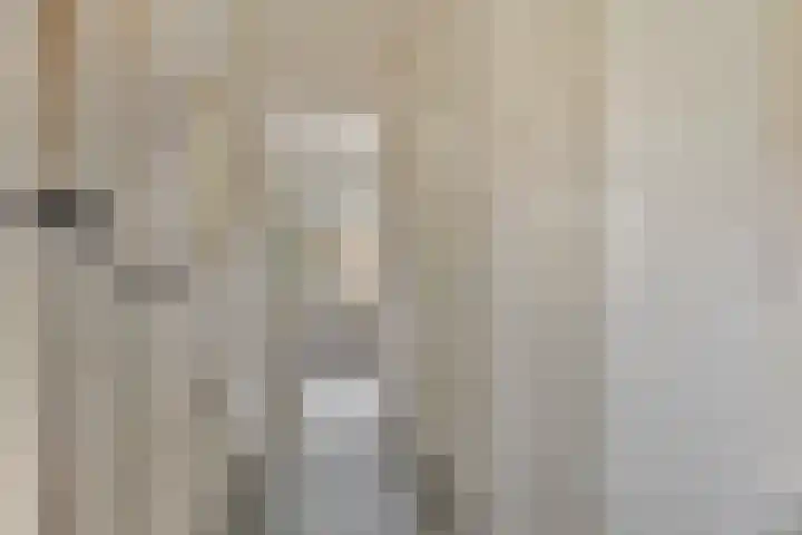 Johannaweg 21 I Hengelo thumbnail 19