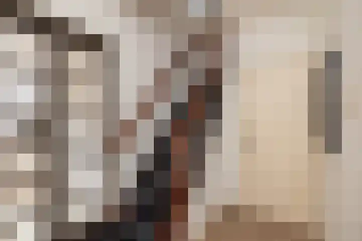 Johannaweg 3 A Hengelo thumbnail 14