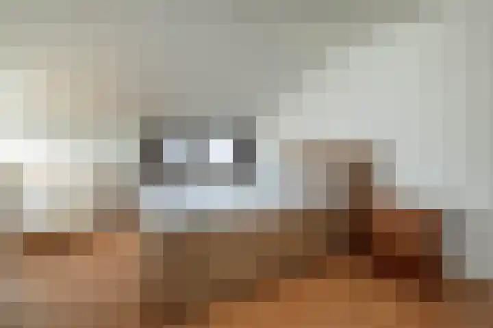 Johannaweg 3 A Hengelo thumbnail 16