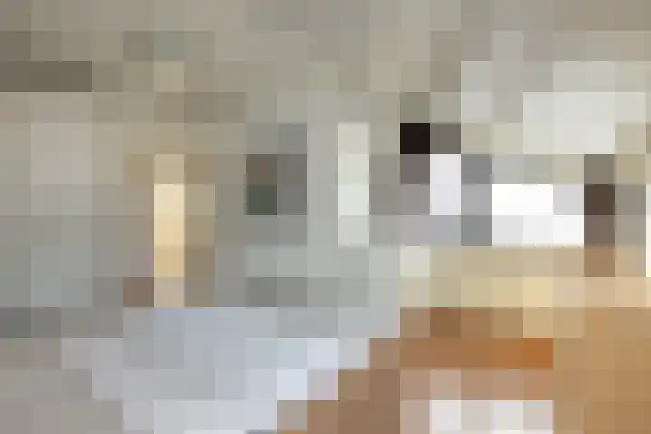 Johannaweg 3 A Hengelo thumbnail 17