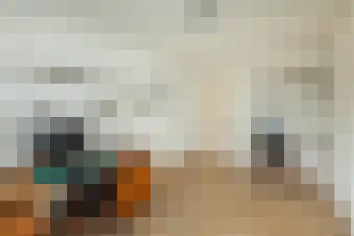 Johannaweg 3 A Hengelo thumbnail 18