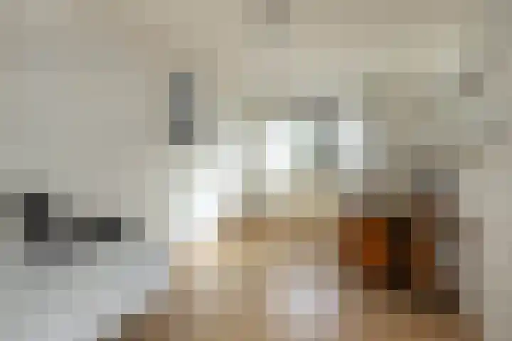 Johannaweg 3 A Hengelo thumbnail 19