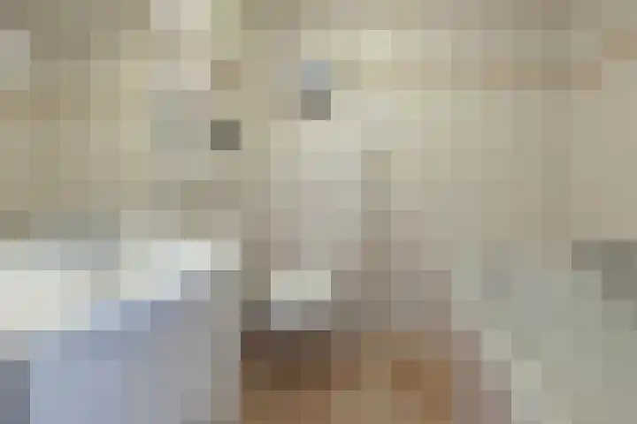 Johannaweg 3 A Hengelo thumbnail 21