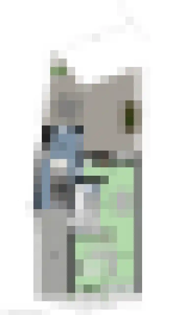 Johannaweg 3 A Hengelo thumbnail 35