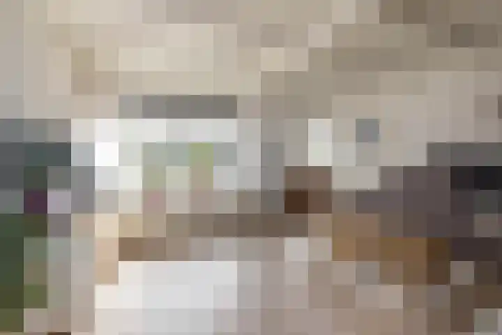 Johannaweg 3 A Hengelo thumbnail 4