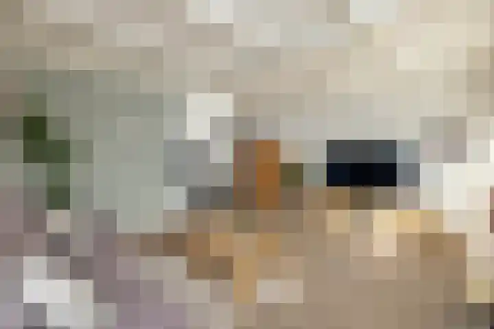 Johannaweg 3 A Hengelo thumbnail 5