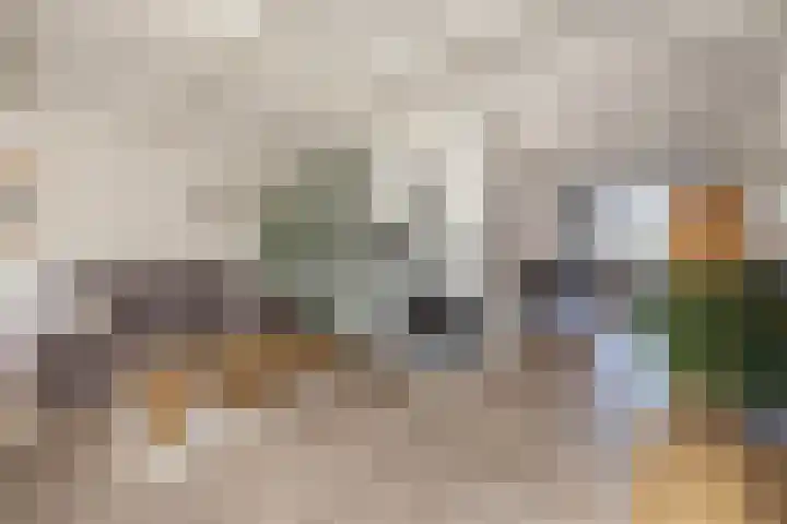 Johannaweg 3 A Hengelo thumbnail 6