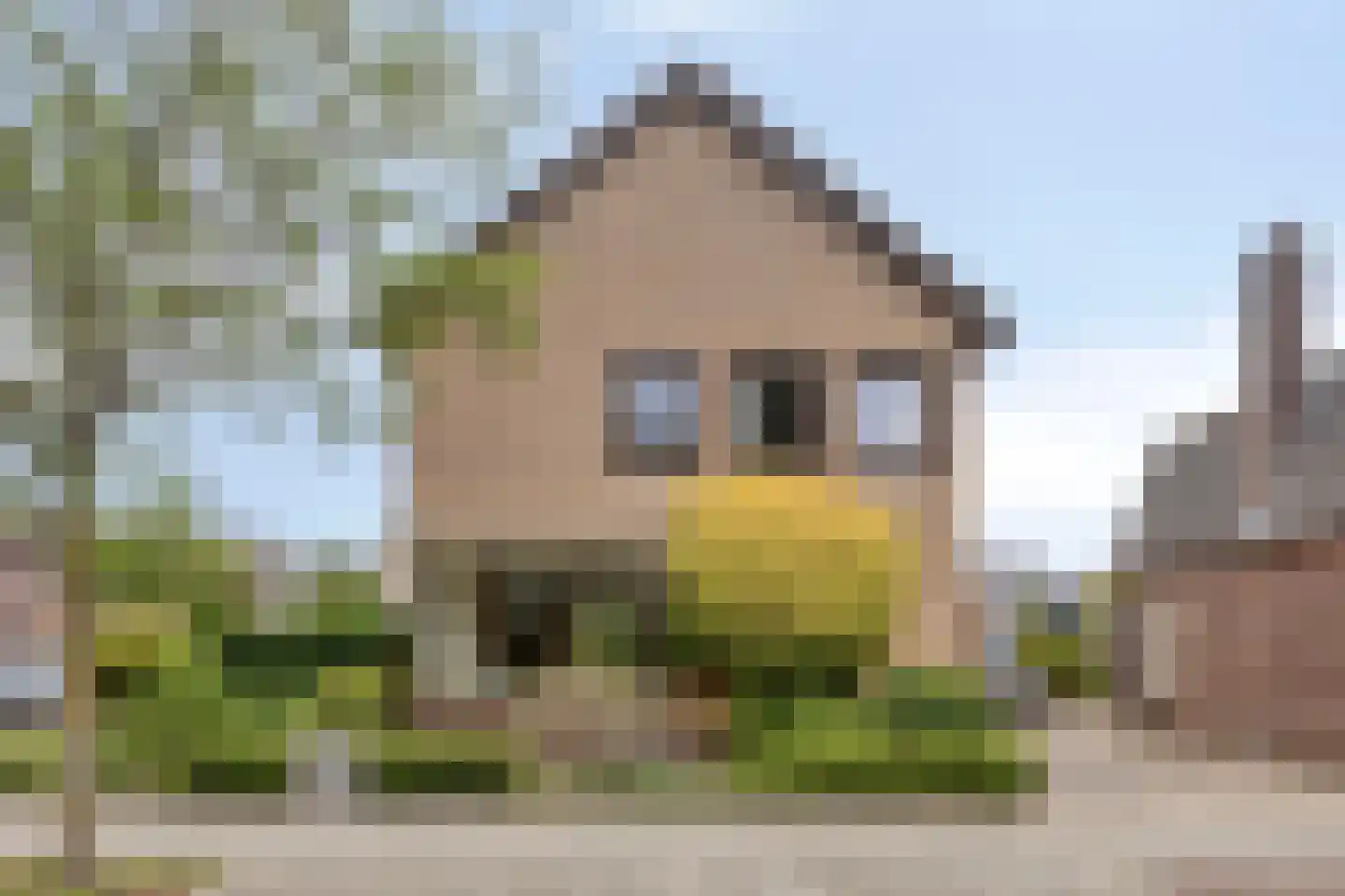 Johannaweg 6 Hengelo thumbnail 10