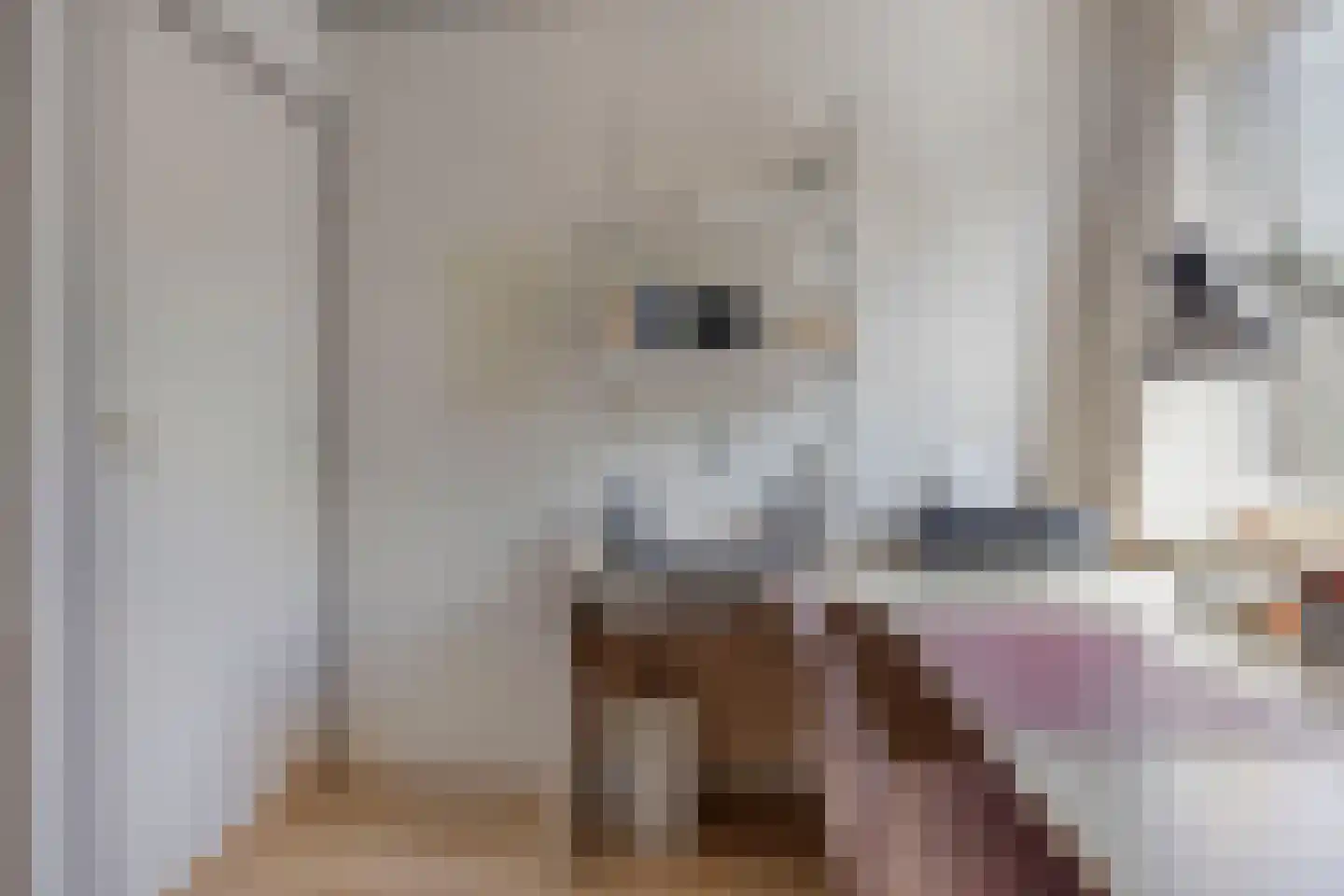 Johannaweg 6 Hengelo thumbnail 27