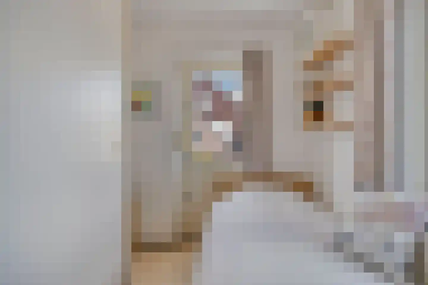 Johannaweg 6 Hengelo thumbnail 28