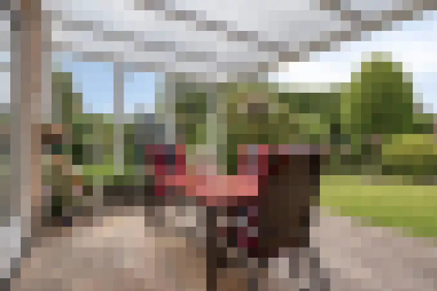 Johannaweg 6 Hengelo thumbnail 33