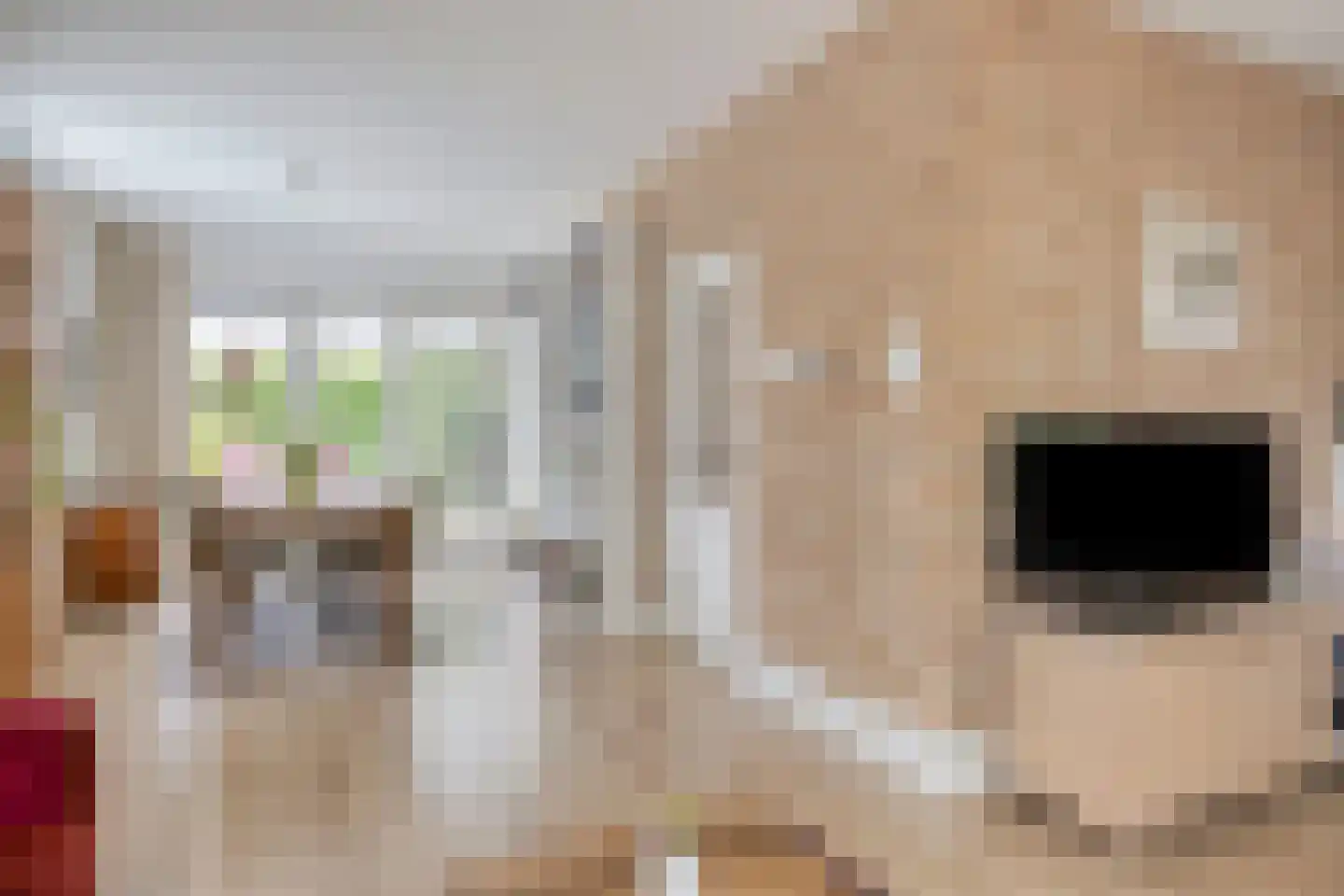 Johannaweg 6 Hengelo thumbnail 5