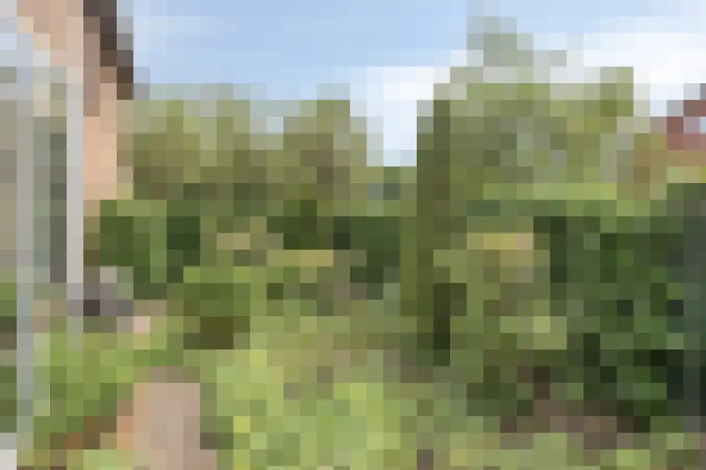 Johannaweg 6 Hengelo thumbnail 9