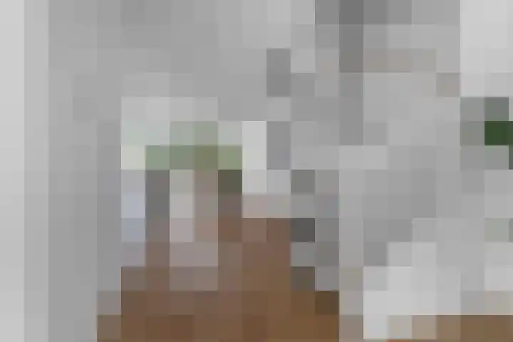Johannaweg 85 Berg en Dal thumbnail 15