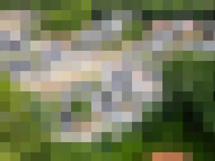 Johannaweg 85 Berg en Dal thumbnail 53