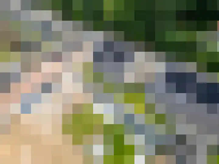 Johannaweg 85 Berg en Dal thumbnail 58