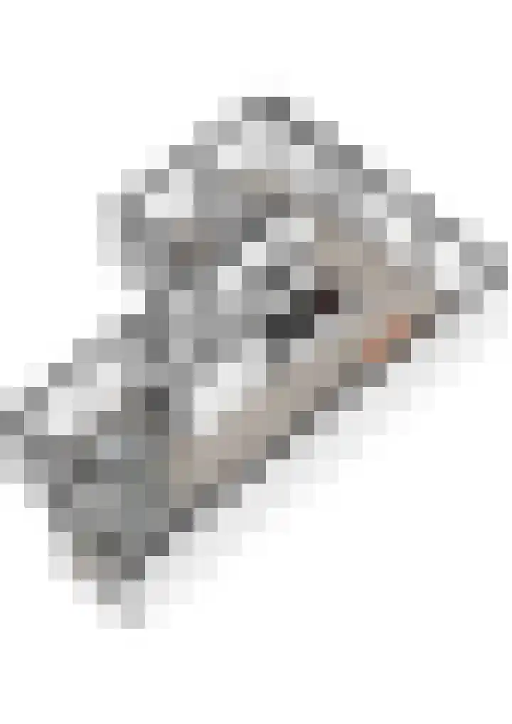 Johannaweg 85 Berg en Dal thumbnail 63