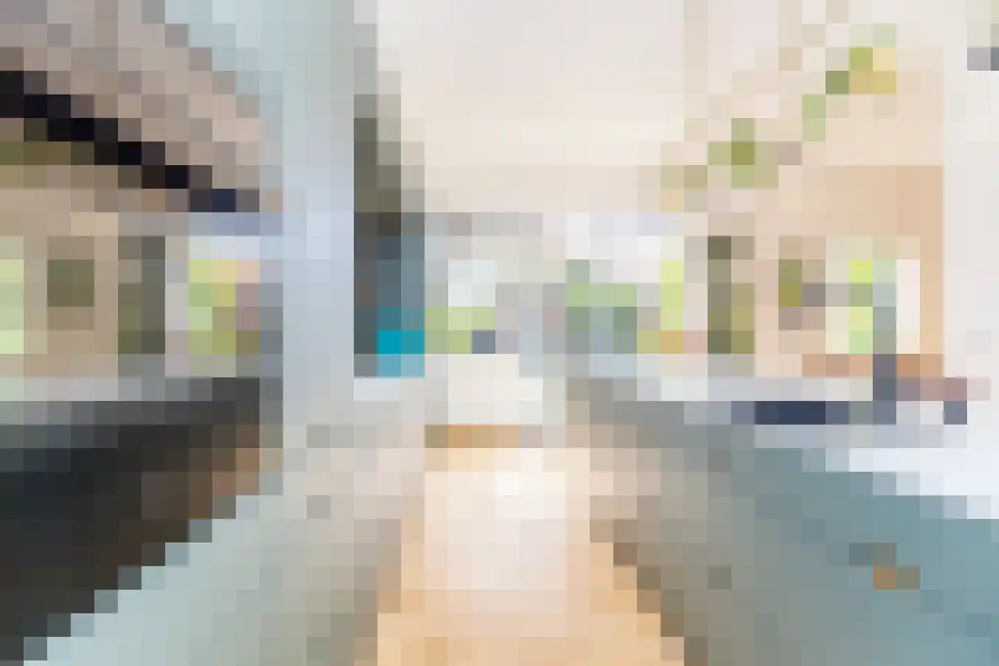 Johannes Bildersstraat 17 Den Haag thumbnail 11