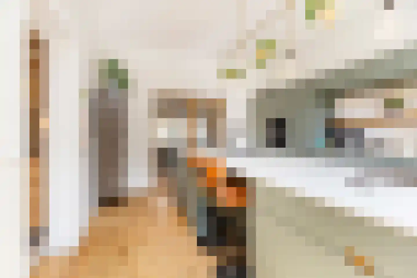 Johannes Bildersstraat 17 Den Haag thumbnail 13